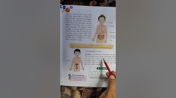 Class-3 Science Chapter-6 (Our Body) Part-4,By-Sumitra miss.