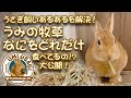 うみの牧草なにをどれだけ食べてるの！？大公開！　うさぎ飼いあるあるを解決！　 [107]