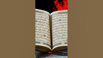 قرآن كريم الشيخ ماهر المعيقلي سوره التكاثر
