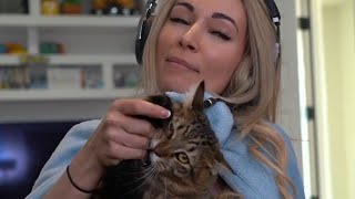 The Cat, The Babe &amp; The Bite | 5Head Analysis