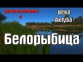 Русская рыбалка 4(рр4/rf4) - река Ахтуба. Белорыбица.