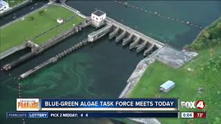 Algae task force meeting Thursday