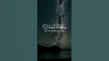 سورة النبأ | الآية ٨-٩ تلاوة عبد الرحمن مسعد