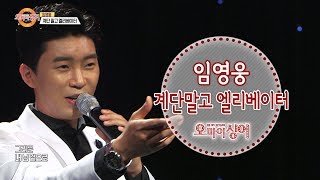 임영웅 - 계단말고 엘리베이터 (오마이싱어 2019.12.5)