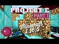Project E Tutorial - Minecraft 1.16.5 [PART 1]