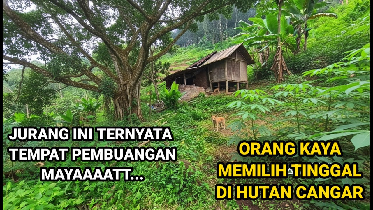 MUSTAHIL BISA SELAMAT DARI TEMPAT INI TERNYATA DI BAWAH JURANG INI ADA SATU RUMAH TERSEMBUNYI