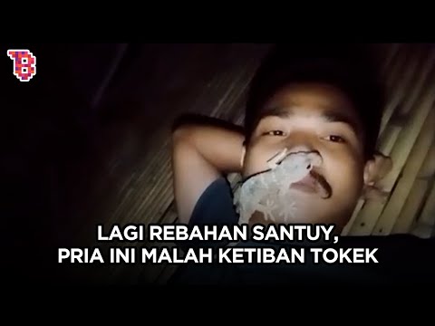 Mau kasihan tapi ngakak, momen pria ketiban tokek di mulut, auto ngibrit sambil istighfar | TRENDING