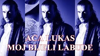 ACA LUKAS | Moj bijeli labude (Prljavo Kazalište)