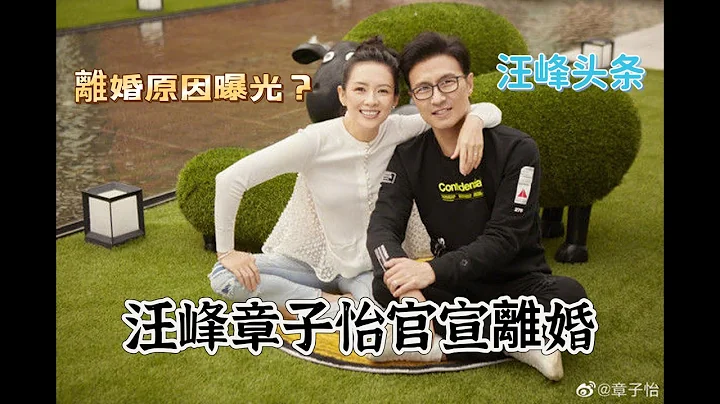 中國內地歌手汪峰和演員章子怡官宣離婚，這次汪峰終於上了頭條，離婚原因引發猜測 - 天天要聞