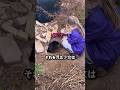 動物の心は 待つことで開かれる