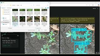 Weed Detection in Python Projects