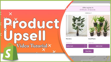 Post-purchase Upsell With Featured Product On Your Shopify Thank You Page | ReConvert