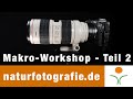 Makrofotografie in der Natur - Teil 2 - Balgen, Umkehrring, Mikroskopadapter und Raynox Linsen