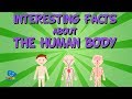 Amazing Facts About Human Senses Blood Vessels and the Brain