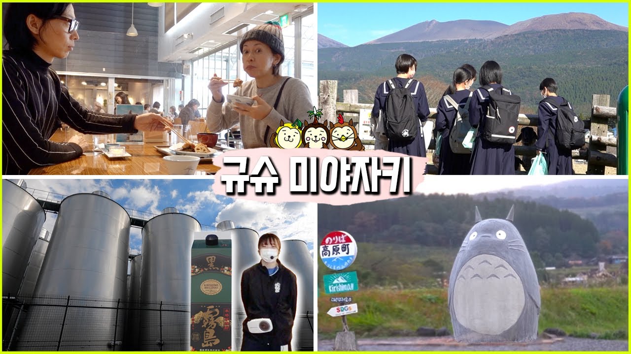 【걸어서 ‘미야자키’ 속으로🌎】안구 정화와 즐거운 식도락 여행에 최적화된 따스한 남쪽 도시!