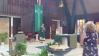 Sunday July 19th  2026 Sunday of the Sixteenth Week in Ordinary Time
