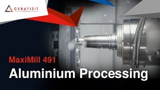 MaxiMill 491 – Alumnium