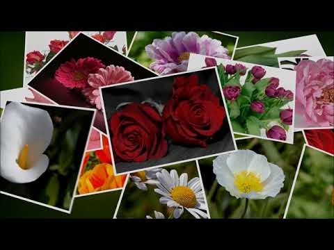 リハスタ練習バージョン（オリジナル）Yes, Dear Lonely　音質は悪いですが。たかちさんはピアノ担当です。