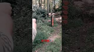 Cz P10c Shooting Tree shorts guns trending viral pewpew shorts trend cz