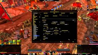 ElvUI Interface Overview Guide -- Melee DPS