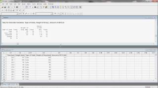 The Soft Drink Excitation: minitab 1, checking data