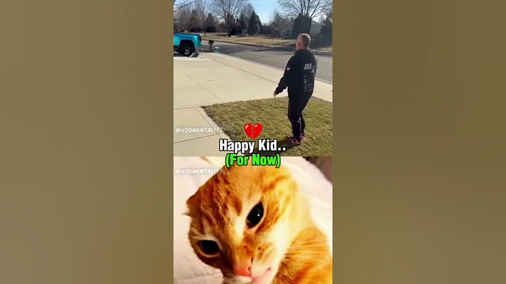 POV: So focused on flying… he forgot to look ahead 😭🪁👁️