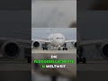 Dreamliner: Vom gefeierten Wunderwerk zum Skandalflugzeug