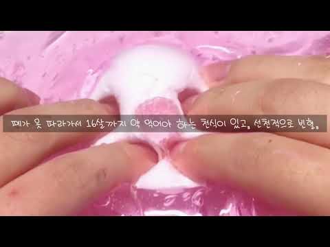 다이어트 좀 도와주세요 시액 시리즈 액괴 소규모 3개 파연카 투바투 어느날 머리에서 뿔이 자랐다 액시 소규모 시액 소규모시리즈액괴