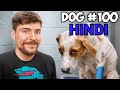 @MrBeast I Save 100 Dogs From Dying | mrbeast hindi