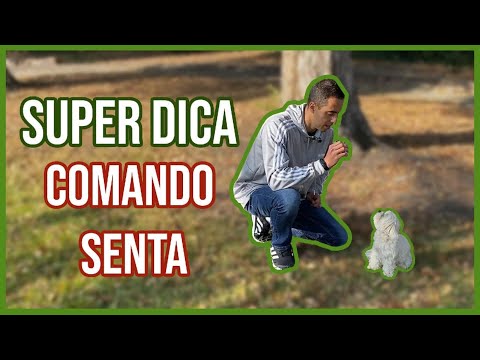 SUPER DICA! Comando