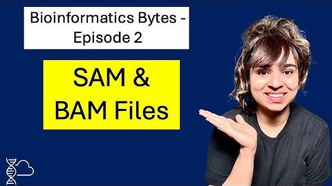 SAM & BAM Files Explained | NGS Data Formats Made Simple (Bioinformatics Bytes Ep. 2)