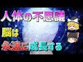 【ゆっくり解説】物忘れが増えたり、やる気や集中力が無くなるのは脳のせい！？脳は大人になっても進化し続ける