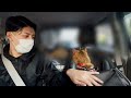 病院に連れて行ったら○○○でした|不安で鳴き叫ぶ猫...