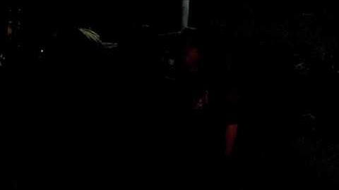 Lambda Theta Alpha Delta Omega 2009 part 4