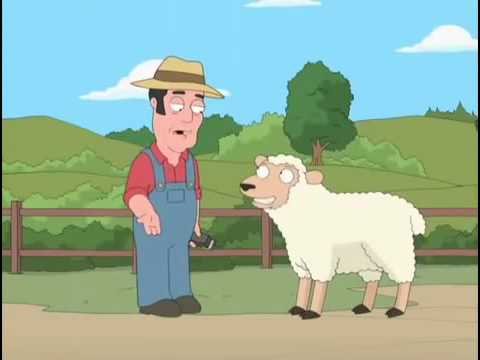 Metemela duro Metemela duro