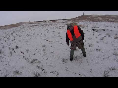 HUNTERFREDDY  Nadiroba kurdgelze gakvalvit || ნადირობა კურდღელზე გაკვალვით