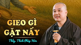 Download Lagu Gieo Gì Gặt Nấy - Thầy Thích Pháp Hòa MP3 Download Lagu Gieo Gì Gặt Nấy - Thầy Thích Pháp Hòa MP3