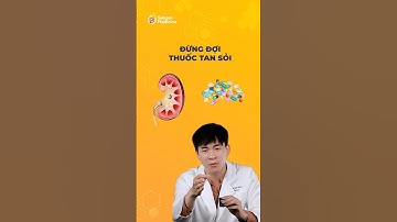 Thuốc tan sỏi có thực sự HIỆU QUẢ khi điều trị sỏi thận? | Ths.Bs Trần Quốc Phong | Saigon Medicine
