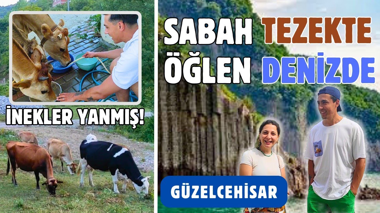 Sahillerin Ortasındaki Köyde Hayvancılık Yapmak | Güzelcehisar