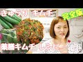 【韓国本場のオイキムチ】きゅうりキムチレシピ　すぐまねできる！完全保存版【오이깍두기】spicy cucumber kimchi