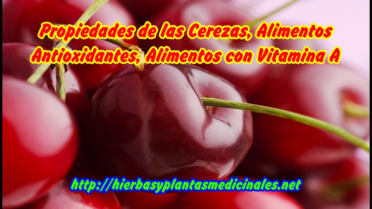 alimentos con antioxidantes propiedades de las cerezas alimentos antioxidantes alimentos con antioxidantes propiedades de las cerezas alimentos antioxidantes