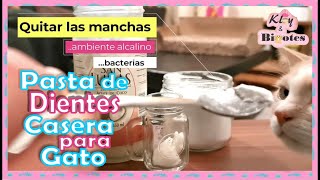 PASTA🧴 DE DIENTES🦷 CASERA DIY PARA GATO😺 Y PERRO🐶 by Kloy & Bigotes 14,986 views 2 years ago 7 minutes, 29 seconds