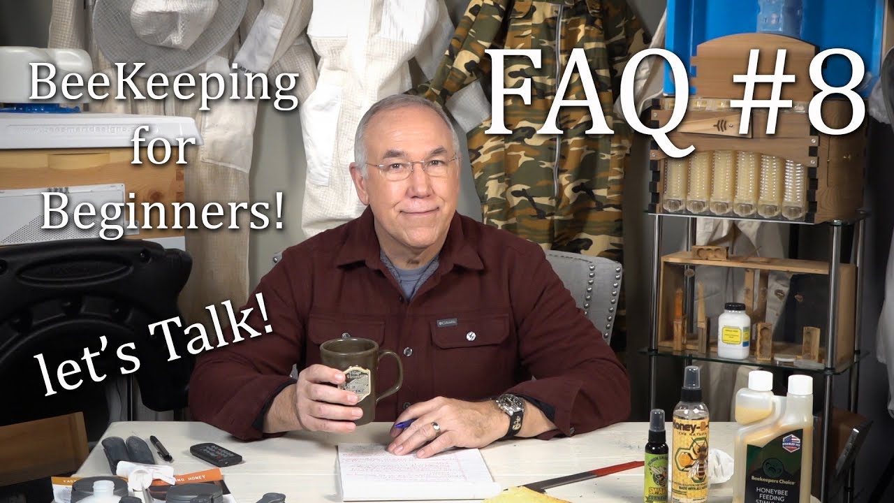 Bee Keeping Frequently Asked Questions 8 How Often to Get Into Your