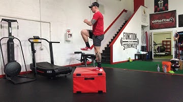 Step up with hip flexion