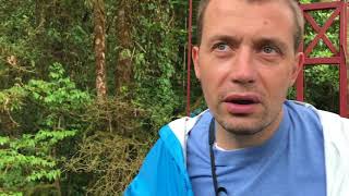 Amazing Costa Rica Nature Documentary: Giant Trees, Exotic Species, Highest Suspension Bridge