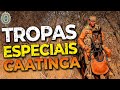 Combatentes de Caatinga