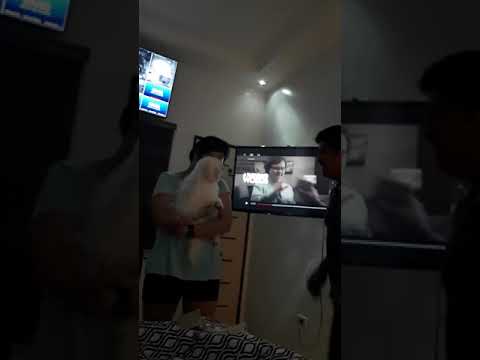 Funny Video: Maltese kissing armpit camera iphone 8 plus apk