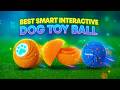 Top 3 Best Smart Interactive Dog Toy Ball for Active Dogs