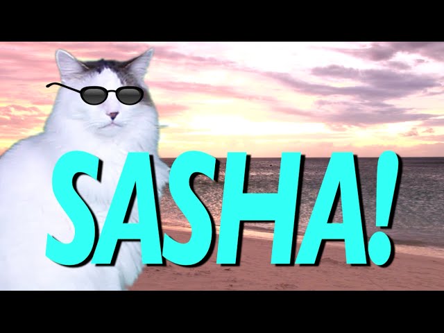 HAPPY BIRTHDAY SASHA! - EPIC CAT Happy Birthday Song