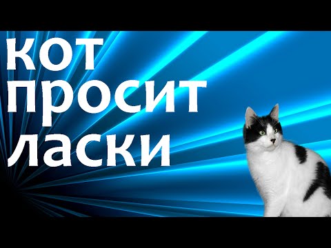 Милашка попросила ласки Милашка попросила ласки